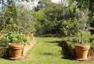 Wattle Range Eastvegetable-gardens-3.jpg; ?>